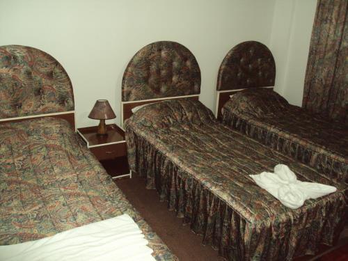 Peace Way Hotel Petra Ngoại thất bức ảnh